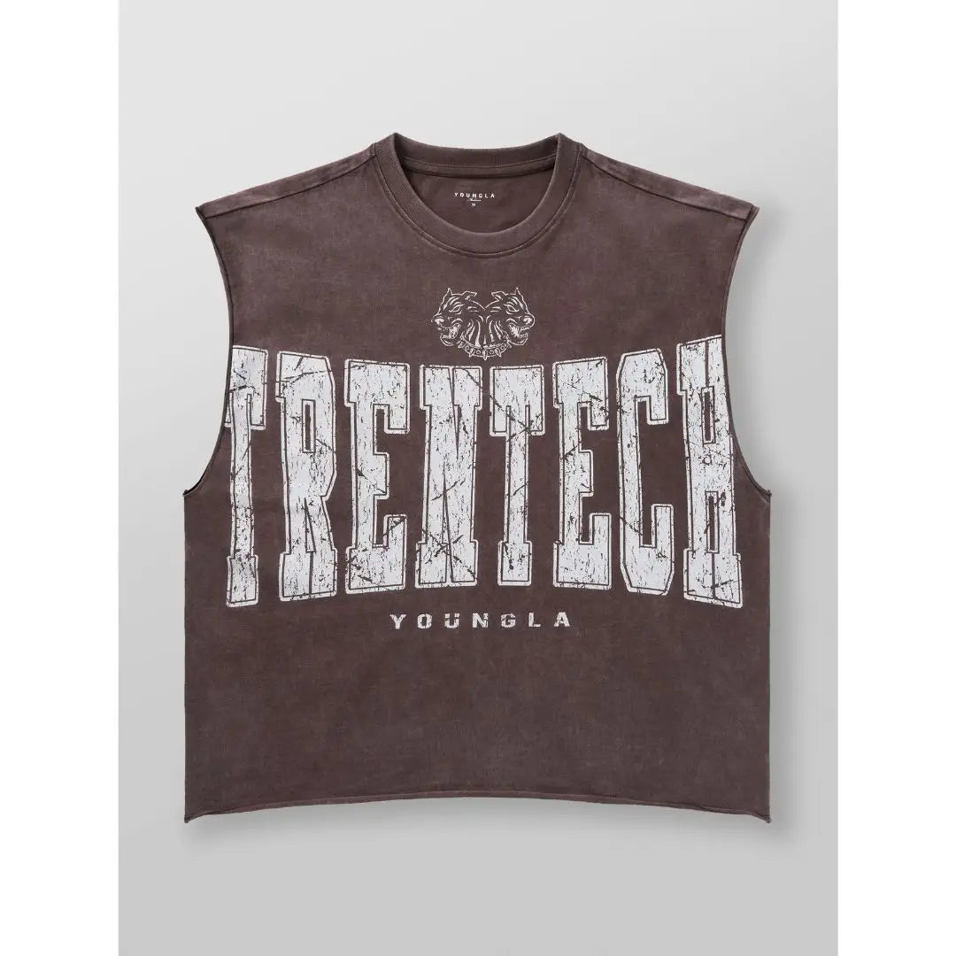 YLA - Trentech