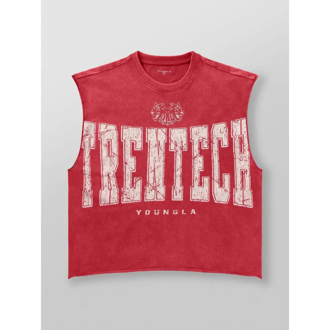 YLA - Trentech