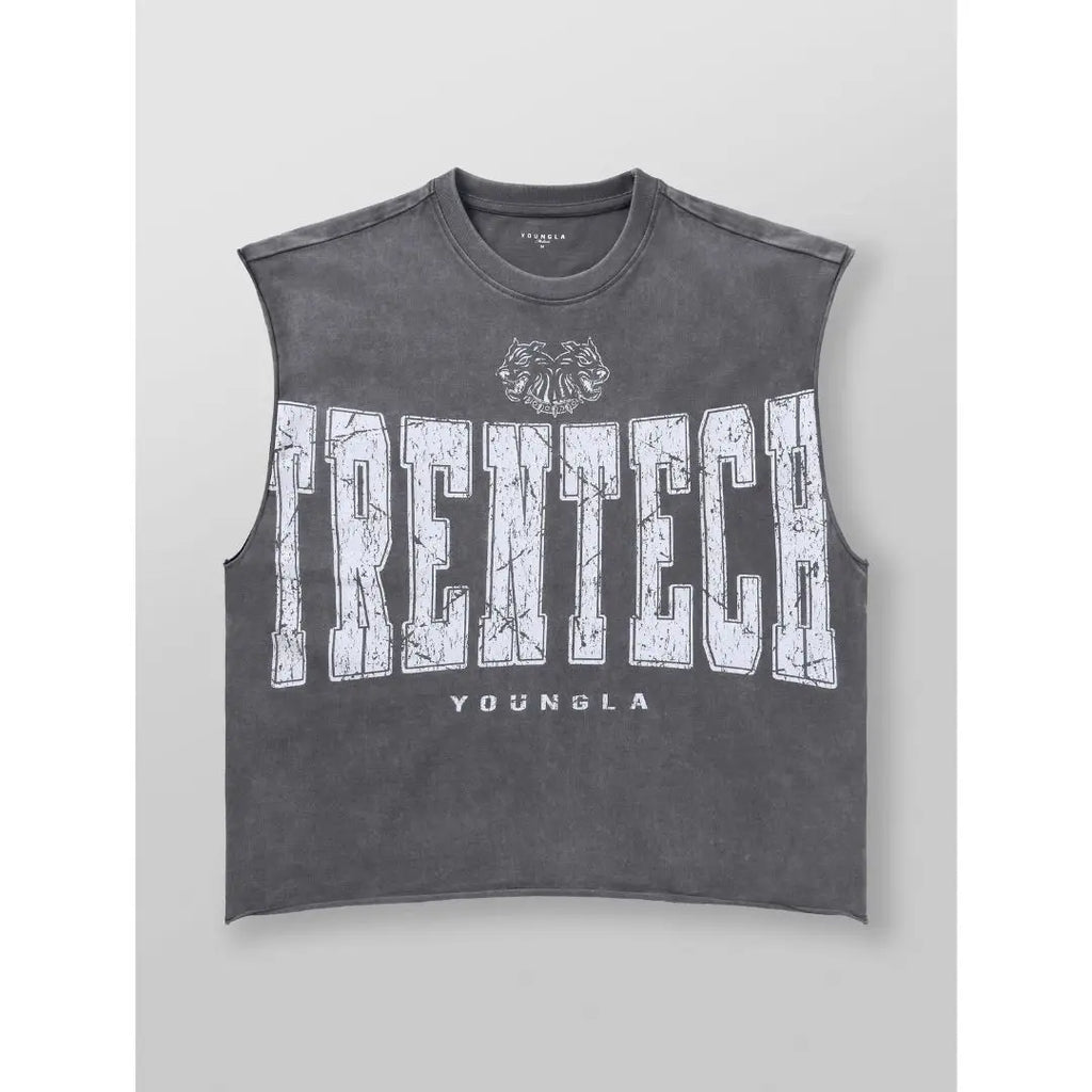 YLA - Trentech