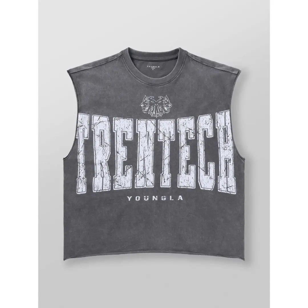 YLA - Trentech